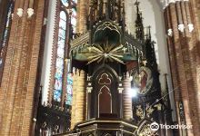 Parafia Katedralna pw. Niepokalanego Poczecia NMP w Siedlcach景点图片