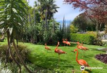Paradise Park and JungleBarn Cornwall景点图片