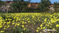 Coalseam Conservation Park-杰拉尔顿