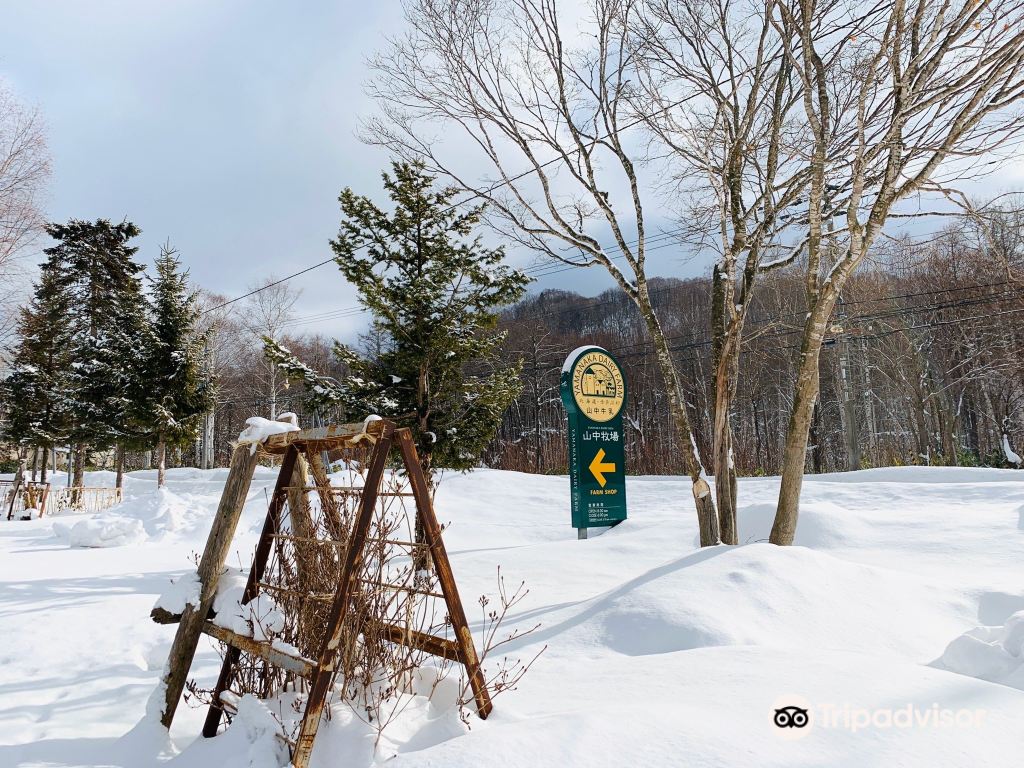 Yamanaka Dairy Farm餐厅图片