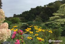 Cornouaille Botanical Garden景点图片