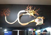 Interactive Science Space景点图片