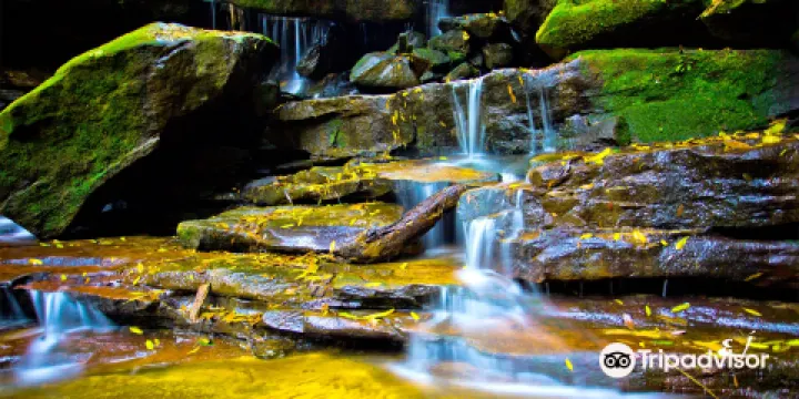 Somersby Falls Picnic Grounds