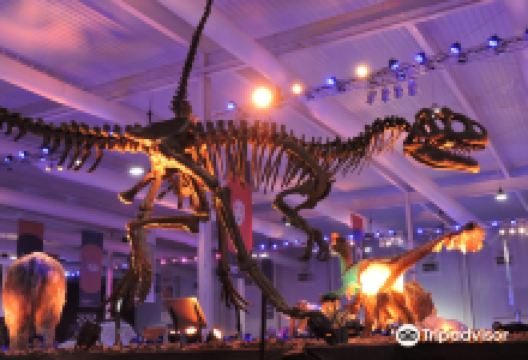 Tecnopolis Federal景点图片