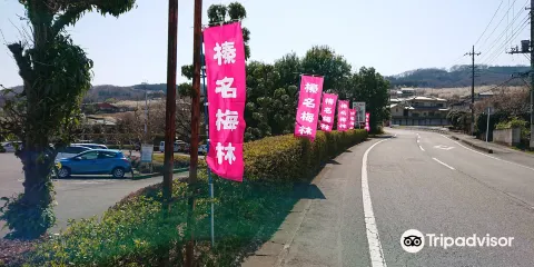 榛名梅林