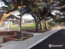 Shamel Park-坎布里亚