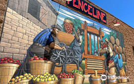 Fenceline Cider