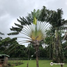 National Childrens Park And Zoo Abuja-阿布贾