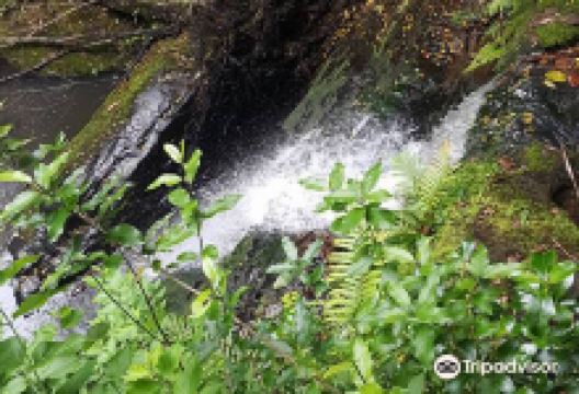 Pohuehue Waterfalls景点图片