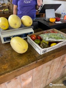 Davis Family Farm-本顿县