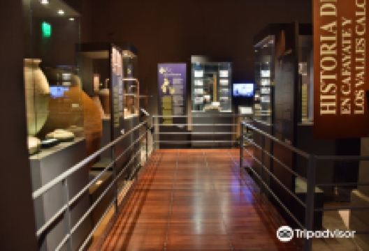 Museo de la Vid y el Vino景点图片