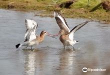 RSPB Freiston Shore景点图片