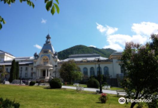 The Casino of Sinaia景点图片
