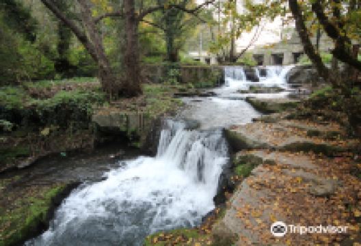 L'area di Montegelato景点图片
