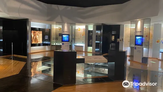 仙台市富澤遺迹保存館(地底森林博物館)