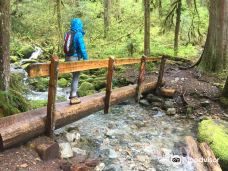 Opal Creek Wilderness Area-底特律