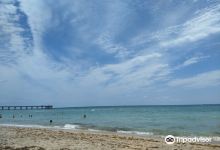 Dania Beach景点图片