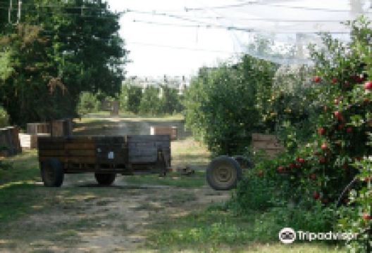 Les Vergers du Bedou景点图片