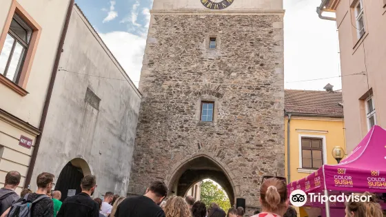 Gates of Holy Mother (Brany Matky Bozi)