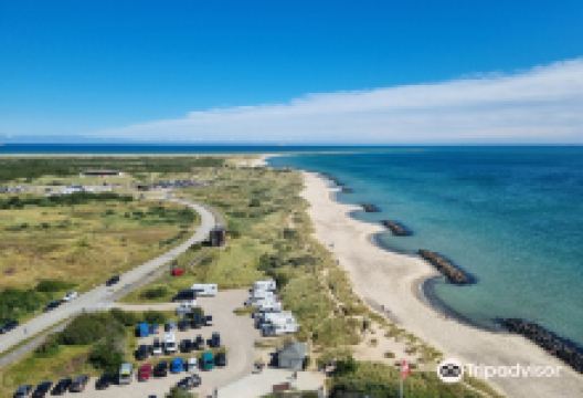 Skagen Fyr景点图片