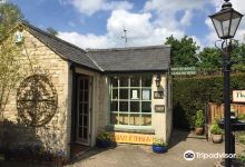 蜻蜓迷宫景点图片