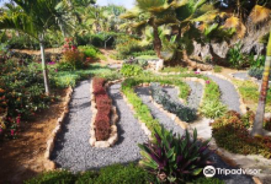 Viveiro, Botanical Garden & Zoo di Terra景点图片