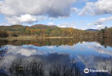 Loch of the Lowes Visitor Centre and Wildlife Reserve景点图片