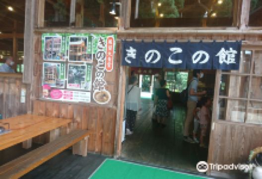 Kinoko Park景点图片