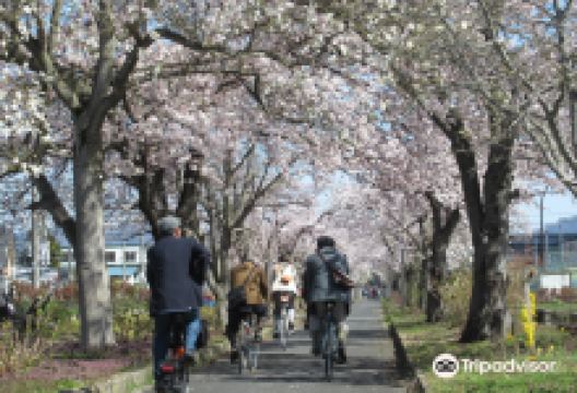 Mahoroba no Ryokudo景点图片