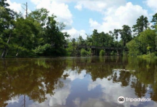Village Creek State Park景点图片