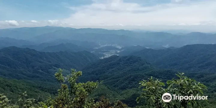 白德山