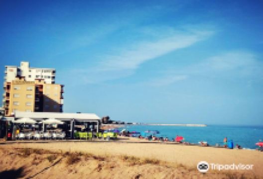Playa de la Caracola景点图片