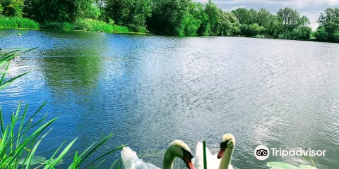 Sugar Mill Ponds Rawcliffe Bridge