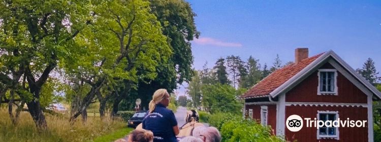 595560411