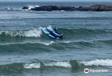 Aquaholics Surf Shop购物图片