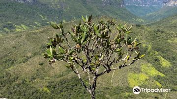 Mirante Vale do Pati