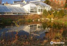 Smith College Botanic Garden景点图片