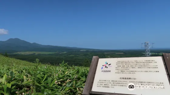 開陽台