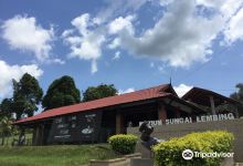 Sungai Lembing Museum景点图片