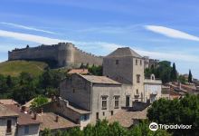 Musee Pierre-de-Luxembourg景点图片