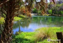 Gemini Springs Park景点图片