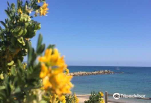Plage de l'Anglade景点图片