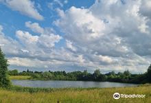 Staveley Nature Reserve景点图片