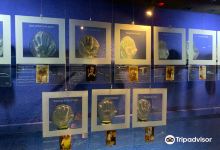 The Mauritius Glass Gallery景点图片