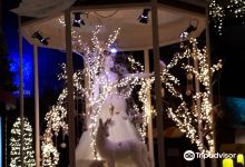 Intratuin Halsteren购物图片