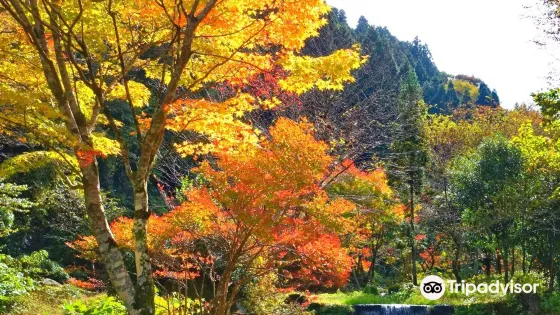 Kasen Park