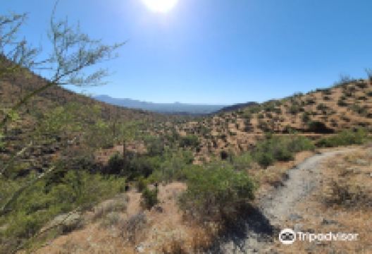 Cave Creek Regional Park景点图片