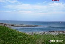 Mira Gut Beach景点图片