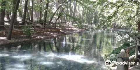 Parque de la Bombilla