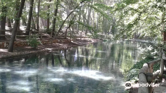 Parque de la Bombilla